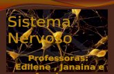 Sistema Nervoso Professoras: Edilene, Janaina e Ana Laura.