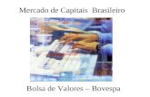 Bolsa de Valores – Bovespa Mercado de Capitais Brasileiro.