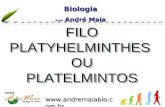 Www.andremaiabio.com.br FILO PLATYHELMINTHES OU PLATELMINTOS FILO PLATYHELMINTHES OU PLATELMINTOS Biologia Profº André Maia Biologia.