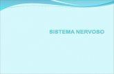 SISTEMA NERVOSO - CÉLULAS NEURÔNIOS – responsáveis pela condução do impulso nervoso. CÉLULAS DA GLIA (NEURÓGLIA) - cuja função é dar sustentação aos neurônios.