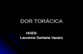 DOR TORÁCICA HGEB Laurence Santana Vacaro Dor torácica 5 a 10 % dos atendimentos na sala de emergência 5 a 10 % dos atendimentos na sala de emergência.