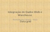 Integração de Dados Web e Warehouse Aluno:Bruno Correia – bcs2 Data grid.