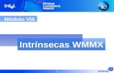 1 Módulo VIII Intrínsecas WMMX. 2 Funções Intrínsecas  Funções que executam as instruções Wireless MMX  Sintaxe no formato da linguagem “C”  Trabalham.