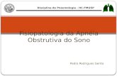 Disciplina de Pneumologia - HC-FMUSP Pedro Rodrigues Genta Fisiopatologia da Apnéia Obstrutiva do Sono.