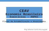 CEAV Economia Brasileira Exercícios – ANPEC Planos de Estabilização e Atualidades Prof. Antonio Carlos Assumpção.