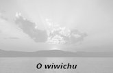 O wiwichu N uma bela noite de dezembro, lá nas praias da Bahia, estava um casal de baianos olhando o mar, muito apaixonados e abraçadinhos, quando de.