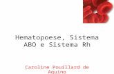 Hematopoese, Sistema ABO e Sistema Rh Caroline Pouillard de Aquino.