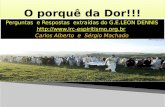 Perguntas e Respostas extraídas do G.E.LEON DENNIS  Carlos Alberto e Sérgio Machado Perguntas e Respostas extraídas do.