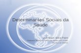 Determinantes Sociais da Saúde Jairnilson Silva Paim Professor Titular em Política de Saúde (ISC-UFBA) Membro da CNDSS.