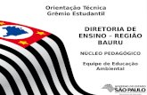 1 DIRETORIA DE ENSINO – REGIÃO BAURU NÚCLEO PEDAGÓGICO Equipe de Educação Ambiental Orientação Técnica Grêmio Estudantil.