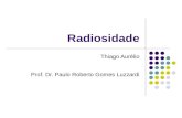 Radiosidade Thiago Aurélio Prof. Dr. Paulo Roberto Gomes Luzzardi.