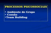 PROCESSOS PSICOSSOCIAIS Ambiente de Grupo Coesão Team Building.