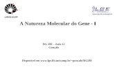 Www.lge.ibi.unicamp.br A Natureza Molecular do Gene - I BG 280 – Aula 12 Gonçalo Disponível em goncalo/BG280.