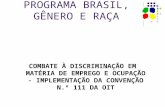 PROGRAMA BRASIL, GÊNERO E RAÇA COMBATE À DISCRIMINAÇÃO EM MATÉRIA DE EMPREGO E OCUPAÇÃO - IMPLEMENTAÇÃO DA CONVENÇÃO N.º 111 DA OIT.