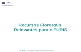 Recursos Florestais Relevantes para o EURIS EURIS – Europeans Using Roundwood Innovatively & Sustainably.