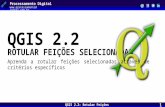 QGIS 2.2: Rotular Feições Selecionadas Processamento Digital  1 QGIS 2.2 ROTULAR FEIÇÕES SELECIONADAS Aprenda a rotular.