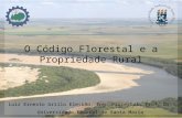 O Código Florestal e a Propriedade Rural Luiz Ernesto Grillo Elesbão, Eng. Florestal, Prof. Dr. Universidade Federal de Santa Maria.