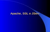 Apache, SSL e JServ. Internet ANTES do WWW Desde 1970 Rede militar Poucos pontos, 95% nos EUA Email, Telnet, FTP.