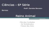 Ciências – 6ª Série Profª. Daniela Benaion Barroso Filo dos Cordados Os Vertebrados Classe das Aves Reino Animal.