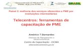 Internacionalização de PME Brasileira Brasília – 14 de junho de 2011 Painel 2: melhoria dos serviços oferecidos a PME por instituições intermediárias Telecentros: