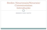 ROBERTO TADEU RAITTZ 1 Redes Neuronais/Neurais/ Conexionistas Introdução.