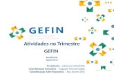 Atividades no Trimestre GEFIN Brasília/DF Agosto/2014 Presidente – Célia Carvalho(MG) Coordenação Executiva – Augusto Monteiro(BA) Coordenação Adm-financeira.