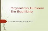 Organismo Humano Em Equilíbrio SISTEMA NEURO - HORMONAL.