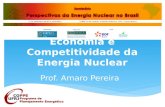 Economia e Competitividade da Energia Nuclear Prof. Amaro Pereira.
