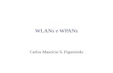 WLANs e WPANs Carlos Maurício S. Figueiredo. Wi-Fi(Wireless Fidelity)