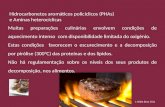 Hidrocarbonetos aromáticos policíclicos (PHAs) e Aminas heterocíclicas Muitas preparações culinárias envolvem condições de aquecimento intenso com disponibilidade.