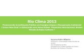 Rio Clima 2013 Promovendo Investimento Publico em Energias Limpas e Recuperação Ambiental ( Green New Deal ) e Esboçando uma Nova Ordem Financeira Internacional.