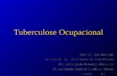 Tuberculose Ocupacional. Estrutura da Apresentação Tuberculose no Brasil Tuberculose Ocupacional –Conceitos –Perspectivas Históricas Da negação às tentativas.