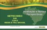 SETEC/MECDIRCGFS REDE E-TEC BRASIL Fevereiro de 2013 Avaliação e Novas Perspectivas.