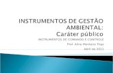 INSTRUMENTOS DE COMANDO E CONTROLE Prof. Aline Monteiro Trigo Abril de 2012.