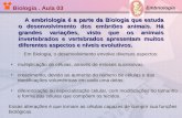 Biologia. Aula 03 Embriologia A embriologia é a parte da Biologia que estuda o desenvolvimento dos embriões animais. Há grandes variações, visto que os.