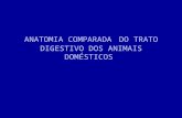 ANATOMIA COMPARADA DO TRATO DIGESTIVO DOS ANIMAIS DOMÉSTICOS.