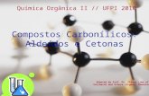 Compostos Carbonílicos: Aldeídos e Cetonas Química Orgânica II // UFPI 2010 Adapted by Prof. Dr. Sidney Lima of Vollhardt and Schore (Organic Chemistry)