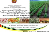 1 República de Moçambique Ministério da Agricultura Instituto de Investigação Agrária de Moçambique Centro Provincial de Formação Agrária de Sofala Projecto.