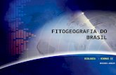 BIOLOGIA - MARLOS ECOLOGIA - BIOMAS II FITOGEOGRAFIA DO BRASIL.