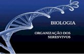 BIOLOGIA ORGANIZAÇÃO DOS SERESVIVOS. VÍRUS  Membrana Plasmática  Citoplasma  Material Genético  Ribossomos ACELULARES CELULARES Organização dos seres.