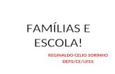 FAMÍLIAS E ESCOLA! REGINALDO CELIO SORINHO DEPS/CE/UFES.