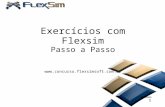 Exercícios com Flexsim Passo a Passo  20111015 1.