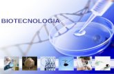 BIOTECNOLOGIA. Multidisciplinar - Engenharia - Genética Plantas e animais com características desejáveis, cultura de células e de tecidos, marcadores.