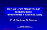 Bacilos Gram Negativos não fermentadores (Pseudomonas e Acinetobacter) Instituto Formação Disciplina de Microbilologia Prof. Ueliton S. Santos Prof. Ueliton.
