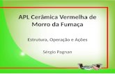 APL Cerâmica Vermelha de Morro da Fumaça Estrutura, Operação e Ações Sérgio Pagnan.