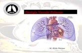 Patologia Vascular Pulmonar M. Alcide Marques. HIPERTENSÃO PULMONAR M. Alcide Marques.