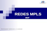 REDES MPLS PROFESSOR: MARCOS A. A. GONDIM BGP. Roteiro Introdução ao BGP Sistema Autonômo Fundamentos do BGP Sessão BGP Cabeçalho BGP Mensagem BGP Tabelas.