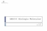 UBAIII Biologia Molecular 1º Ano 2014/2015. 29/Nov/2012MJC-T09 Sumário:  Capítulo X. O núcleo eucariota e o controlo da expressão genética  Comossomas.