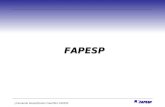 J.Fernando Perez/Diretor Científico FAPESP FAPESP FAPESP.