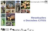1 Resoluções e Decisões CITES Secretariado CITES.